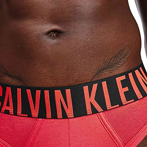 Calvin Klein Hip Brief 2pk Ropa Interior, Strawberry Shake/Blue Shadow, M para Hombre