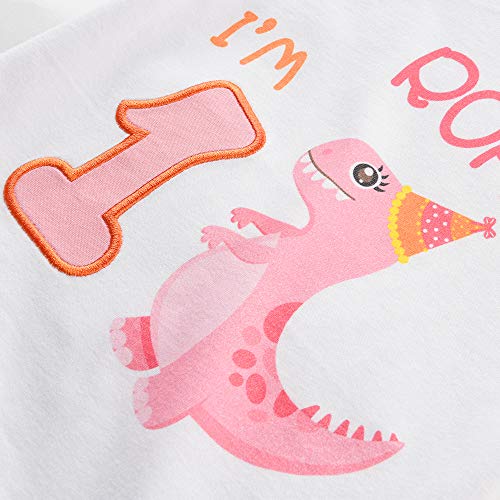 Camiseta 1er Cumpleaños Bebé Niña Dinosaurio Cumpleaño Fiesta Manga Corta Tops Ropa 1 Año 100% Algodón Blanca Dino Impreso tee