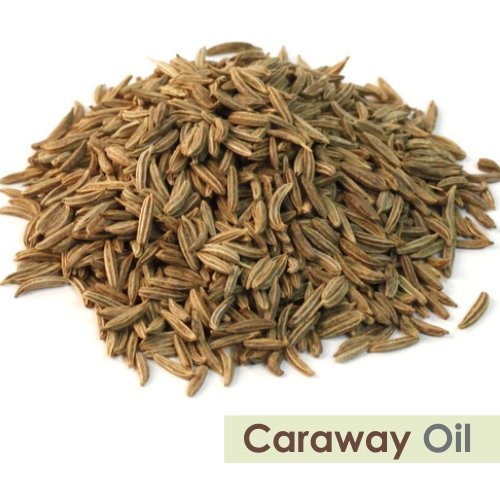 CARAWAY OIL 100% NATURAL PURE UNDILUTED UNCUT ESSENTIAL OILS 15ML