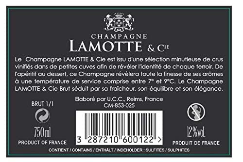 Champagne Brut Francés Lamotte & Cie - 1 Botella 750 ml - Champagne Brut Equilibrado con Burbujas Finas - Fabricado en Francia