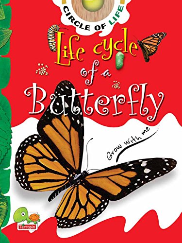 Circle of Life: Life Cycle of a Butterfly (English Edition)