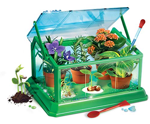 Clementoni 69490 Galileo Science Mi primer invernadero y semillas para minijardineros y botánicos en ciernes, juguete para niños a partir de 8 años