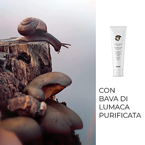 Crema Anticelulítica Baba De Caracol Celulitis Reafirmante Reductora Quema Grasa Adelgazamiento Bio