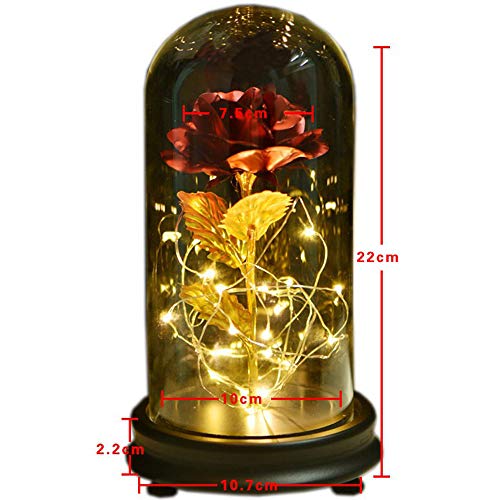 Ewolee Juego de rosas bañadas en oro de 24 quilates, con cadena de luz LED, para bodas, día de San Valentín, aniversario, regalos creativos de cumpleaños y día de la madre