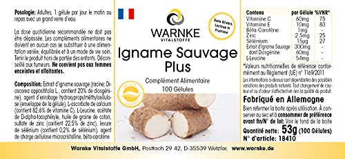 Extracto de Ñame Silvestre – 20% de Diosgenina – Contiene Vitaminas C y E, betacaroteno, zinc y selenio – 100 Cápsulas