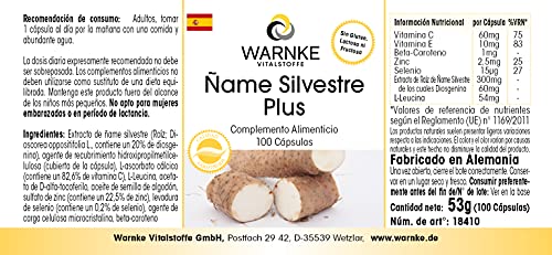 Extracto de Ñame Silvestre – 20% de Diosgenina – Contiene Vitaminas C y E, betacaroteno, zinc y selenio – 100 Cápsulas