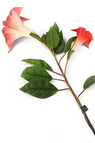 Floral Elegance F080RL - Trompeta, ángel Artificial, 108 cm , Color Rosa