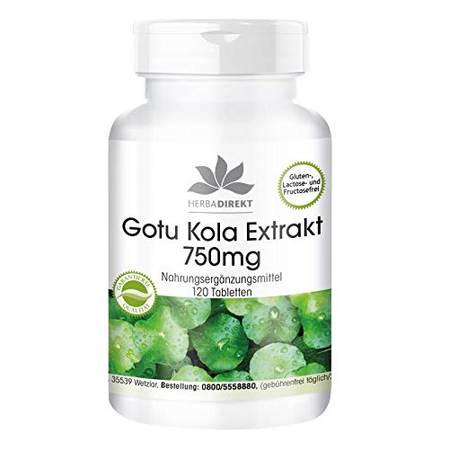 Gotu Kola 750mg – Extracto altamente dosificado – Con zinc y vitamina C – Vegano – 120 comprimidos