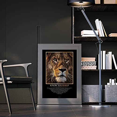 GREAT ART® Póster motivacional noble – Know Yourself – León majestuoso retrato animal inspiración decoración hogar (Din A2 42 x 59,4 cm)