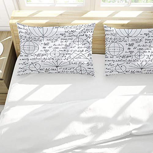 GVJKCZ Funda nórdica estampadaPatrón de fórmula Negro Blanco Juego de Cama de Microfibra 200x200 cm con Cierre de Cremallera +2 Fundas de Almohada 50x75 cm Apto para Adolescentes