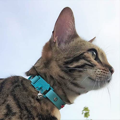 Kittyrama Collar para Gato y Gatitos. Ganador del Premio 'Cat Friendly'. Suave, Comodo, Hipoalergenico, con Hebilla de Liberacion. Visto en la Revista Vogue. Aqua. Otros Estilos Disponibles