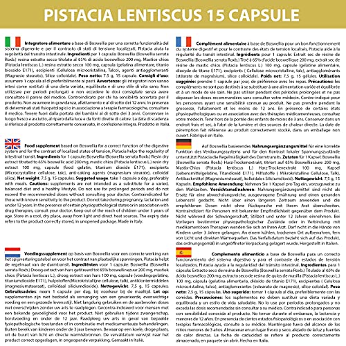 Masilla de Chios y Boswellia 15 cápsulas | 1 al día | Pistacia Lentiscus vientre y estómago