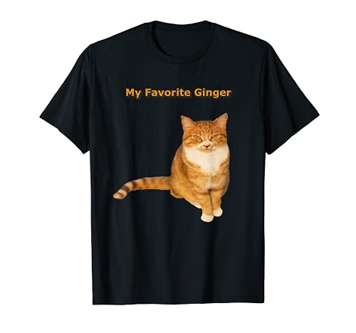 Mi favorito Ginger Orange Tabby Cat Lover Camiseta