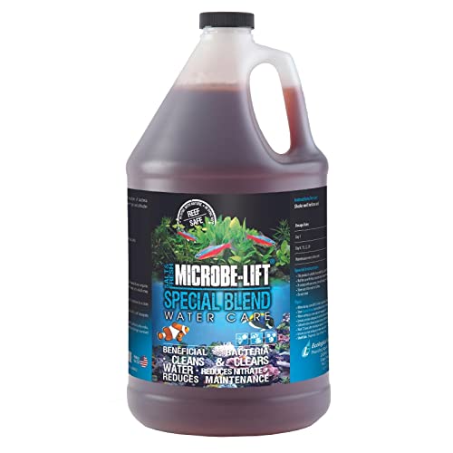 MICROBE-LIFT Special Blend – Bacterias de Alta Actividad, para un Acuario seminaturales, favorece la descomposición de impurezas, Agua Dulce y Salada, Multicolor, XL (SBHG1)