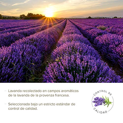 Miel de abeja pura cruda de Lavanda | Miel de La Provenza Francia Natural, Organica, Fresca y Cruda 390 Gr / Miel cruda 100% natural sin azucares añadidos. Extracción en frio