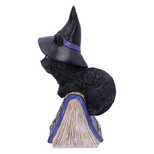 Nemesis Now Pocus Small Witches Familiar-Figura Decorativa, diseño de Gato Negro y Libro de hechizos, Resina, Morado, 12.7cm