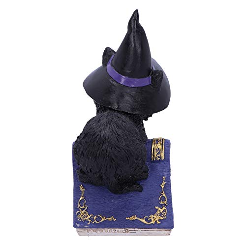 Nemesis Now Pocus Small Witches Familiar-Figura Decorativa, diseño de Gato Negro y Libro de hechizos, Resina, Morado, 12.7cm