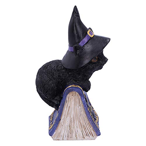 Nemesis Now Pocus Small Witches Familiar-Figura Decorativa, diseño de Gato Negro y Libro de hechizos, Resina, Morado, 12.7cm