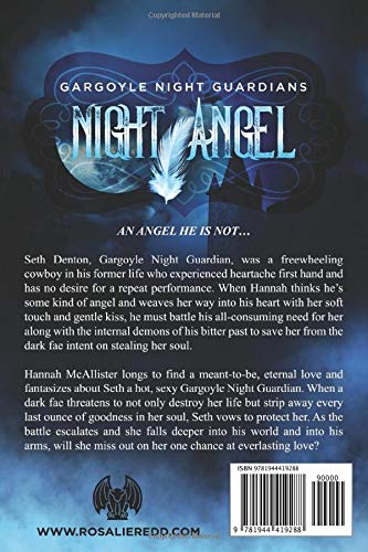 Night Angel: 2 (Gargoyle Night Guardians)