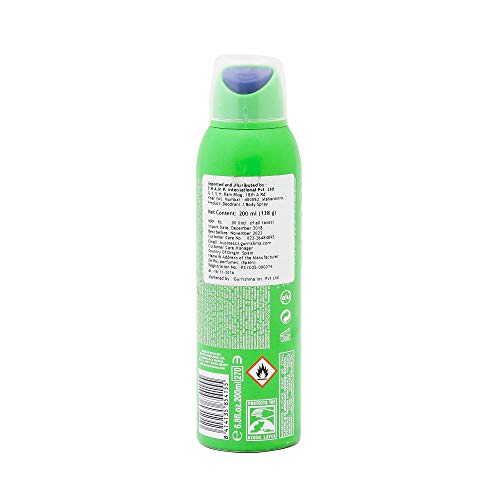 NIKE GREEN MAN DEO VAPO 200 ML