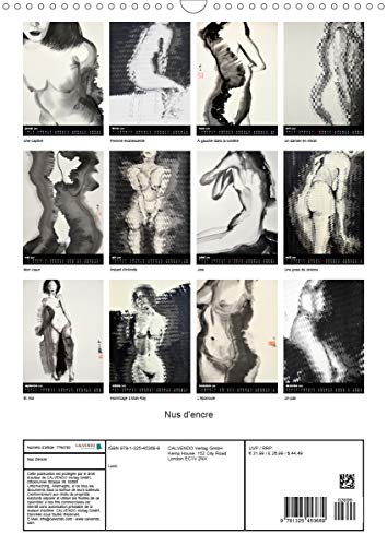 Nus d'encre (calendrier mural 2020 din a3 vertical) - serie de nus feminins a l'encre de chine (cale (Calvendo Art): Série de nus féminins à l'encre de Chine (Calendrier mensuel, 14 Pages )
