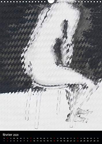 Nus d'encre (calendrier mural 2020 din a3 vertical) - serie de nus feminins a l'encre de chine (cale (Calvendo Art): Série de nus féminins à l'encre de Chine (Calendrier mensuel, 14 Pages )