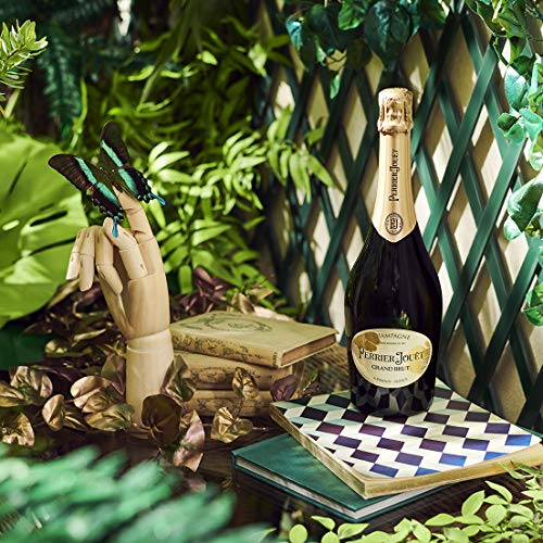 Perrier Jouet Grand Brut Champagne 75cl