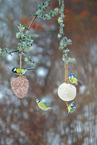 Piñas de sebo con semillas de girasol, alimento para aves silvestres durante todo el año, accesorio para pájaros Nelson Garden, alimento para pájaros silvestres, alimento para todo el año.