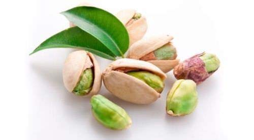 Portal Cool Nueces de Ãrbol Pistachos Semillas Semillas de Ã¡rboles frutales Pistacia Rara Planta tropical tuerca de semillas