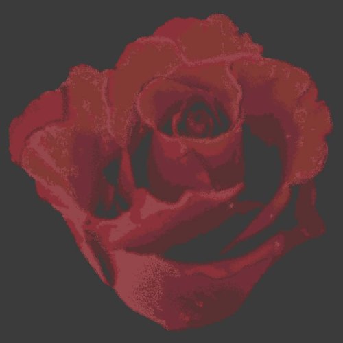 Rose{2770} trendspot-papel pintado Baccara rosas-flores rojo sobre negro metálico brillante