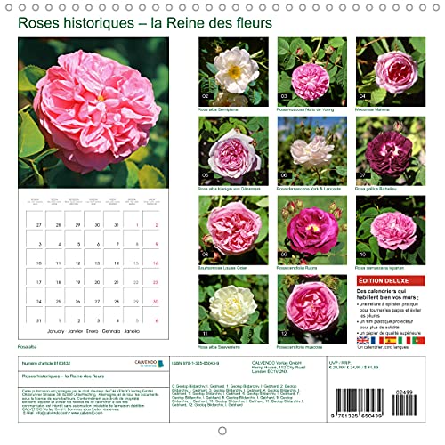 Roses historiques - la Reine des fleurs (Calendrier mural 2022 300 × 300 mm Square): Beauté, senteur et une certaine nostalgie - les roses historiques (Calendrier mensuel, 14 Pages )