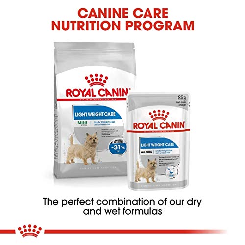 Royal Canin - Comida de Perro Mini Light - 8000 gr