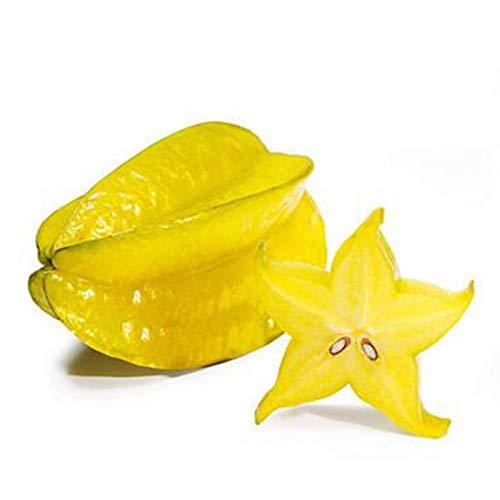 Semillas para jardinería, 50 piezas de semillas de fruta tailandesa de la estrella de la fruta jugosa Carambola exótica de alta germinación