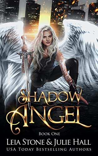 Shadow Angel: Book One (English Edition)