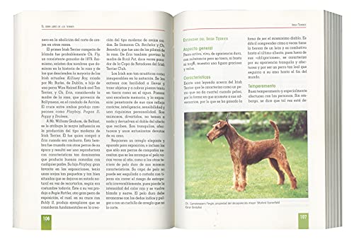 Terrier,Gran Libro (El Gran Libro De Los Terrier)