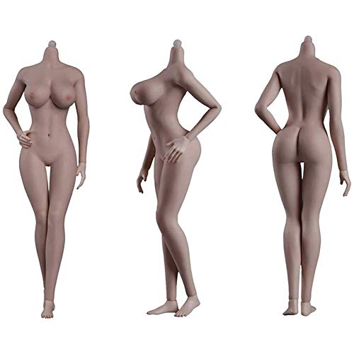 ZSMD Conjunto Completo Cuerpo De Silicona 1/6 Muñecas Tipo De Cuerpo Regordete Belleza Sexy Europea Y Americana (Cabeza Esculpida No Incluida)